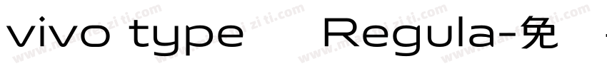 vivo type 简 Regula字体转换